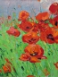 Preview: Poppies
